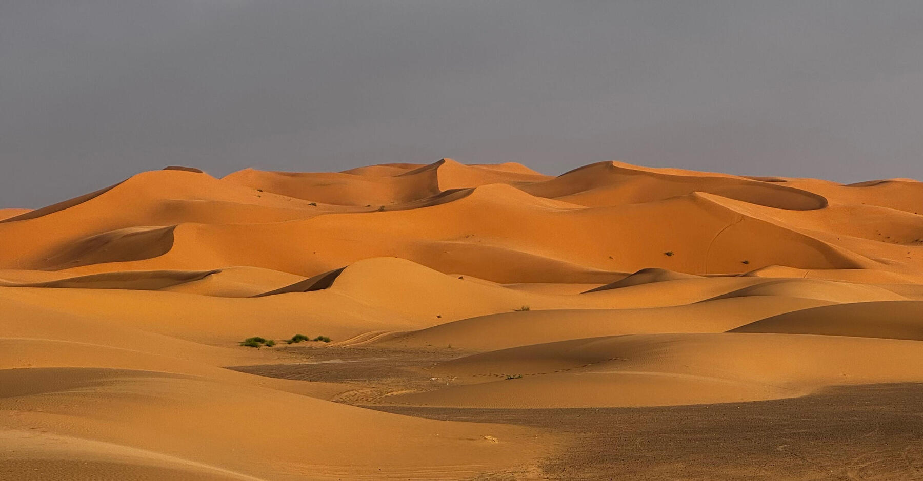 Orange sand dunes under a grey sky